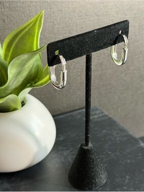 Silver Stainless Steel Hoop Huggie Earrings - Shiny Silver